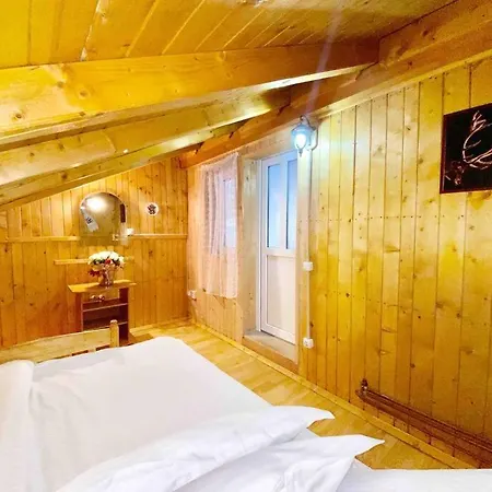 Premium Mountain View Chalet Borsa (Maramures)