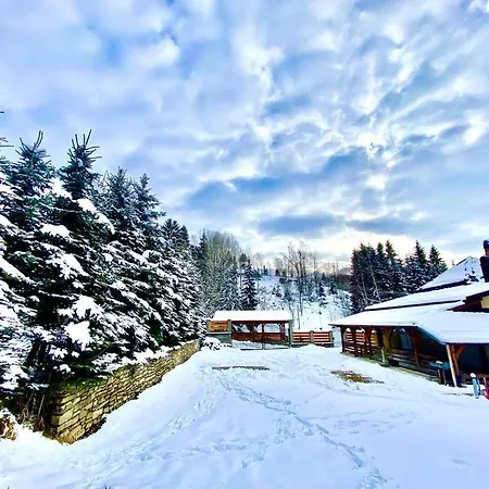 Chalet Premium Mountain View Borsa (Maramures)
