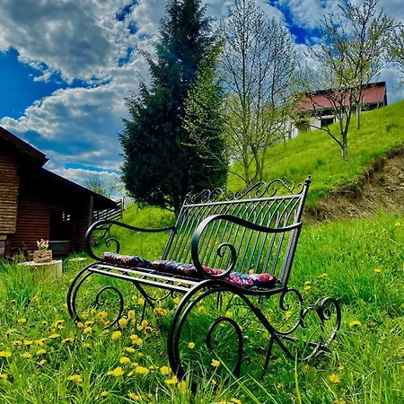 Chalet Premium Mountain View